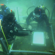 Students drawing a map of the Sanitja Shipwreck