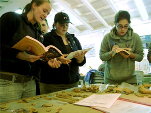 Group of students digging in Sanisera