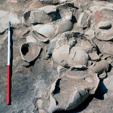Fragments of Roman amphorae from the first century BC in Siculi