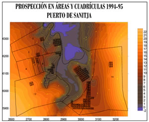 Prospecció en áreas y cuadrícuals 94-95 Puerto de Sa Nitja