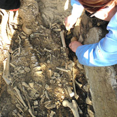 Students digging human remains