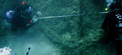 Students Diving