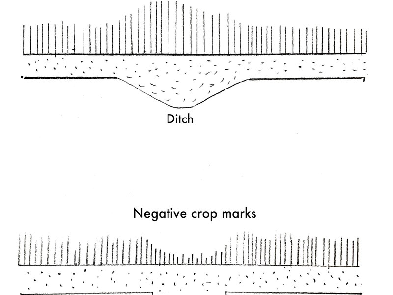 Crop marks lidar archaeology pyrenees