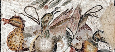 Ducks and fish mosaic Pompeii zooarchaeology Sanisera