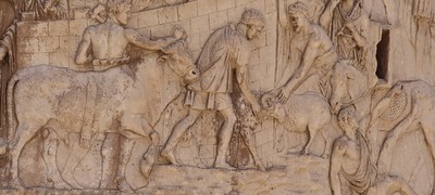 062 Zooarchaeology classifying the domestic fauna of the Roman port of Sanisera Menorca