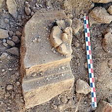 Medieval capital found in situ during the excavation of the Jewish quarter of Belchite