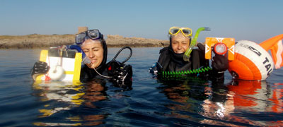 Students Diving