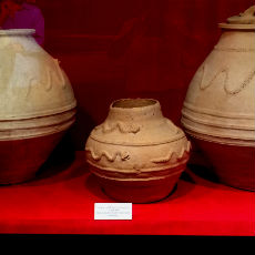 Ceramic vessels discovered in the site