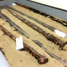 Singular swords discovered during the excavation of the site